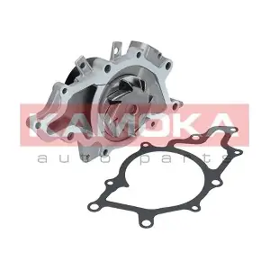 T0168 KAMOKA