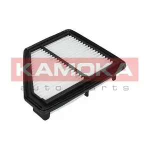 F225601 KAMOKA