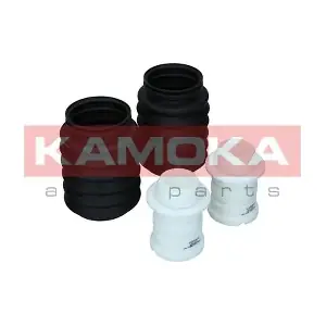 2019101 KAMOKA