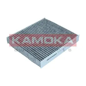 KAMOKA F511901