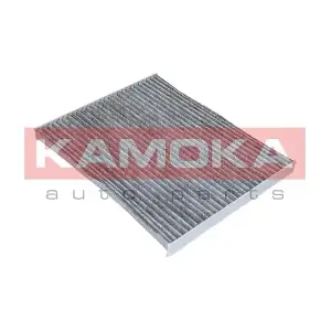 KAMOKA F506001