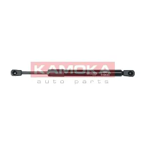 7092021 KAMOKA