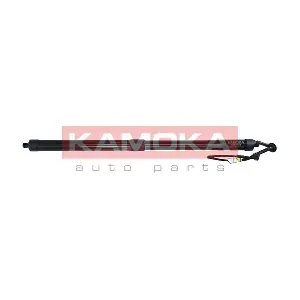 7094044 KAMOKA