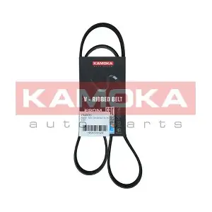 7016073 KAMOKA