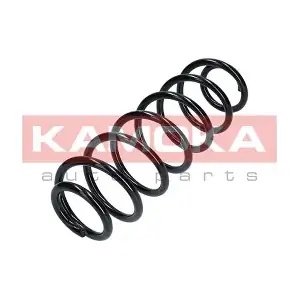 2120253 KAMOKA