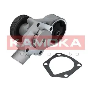 KAMOKA T0258