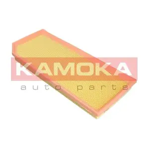 KAMOKA F249101