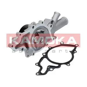 T0193 KAMOKA