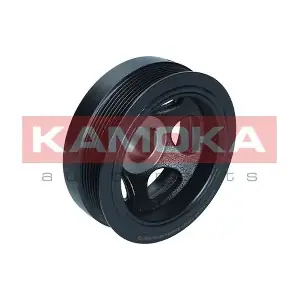 RW091 KAMOKA