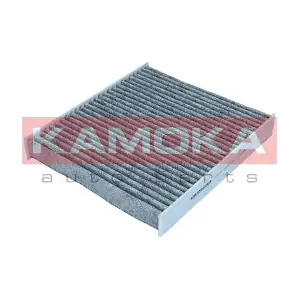 KAMOKA F521701