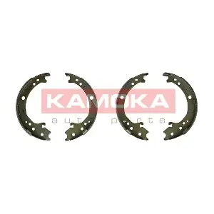JQ212060 KAMOKA