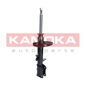 2000958 KAMOKA