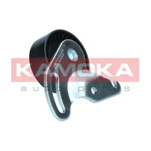 R0629 KAMOKA