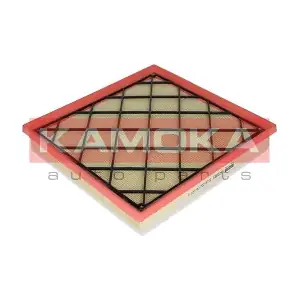 KAMOKA F220801
