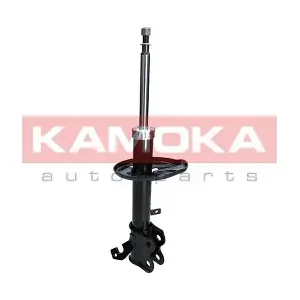 2000234 KAMOKA