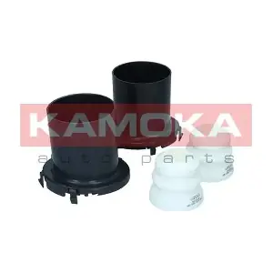 2019125 KAMOKA
