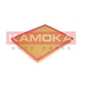 F217901 KAMOKA