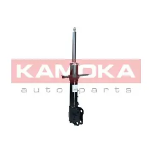 2001078 KAMOKA