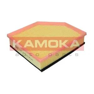 F249601 KAMOKA