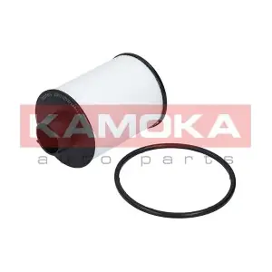 KAMOKA F301601