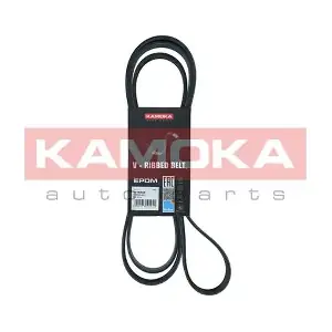 7016202 KAMOKA