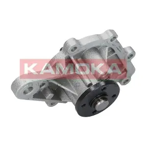 KAMOKA T0259