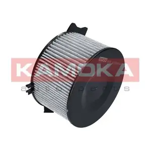 KAMOKA F501301