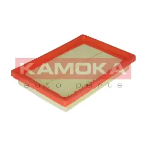 KAMOKA F210501