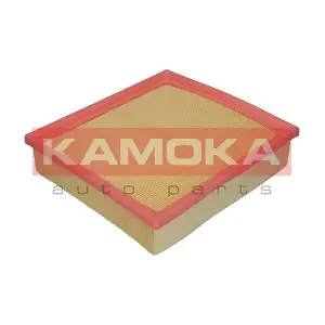 KAMOKA F203901