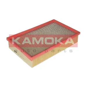 F219301 KAMOKA