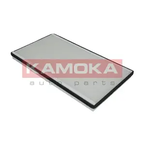KAMOKA F408601