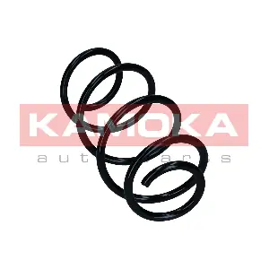 2110844 KAMOKA