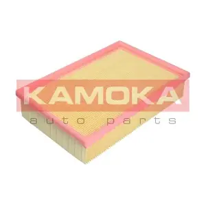 KAMOKA F221701