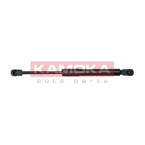 7091138 KAMOKA