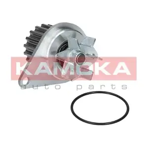 T0089 KAMOKA