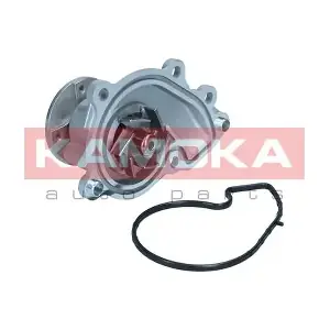 T0312 KAMOKA