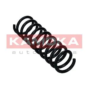 2120488 KAMOKA