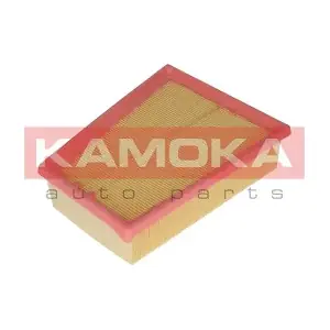 KAMOKA F234001