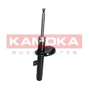2000211 KAMOKA
