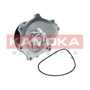 KAMOKA T0176
