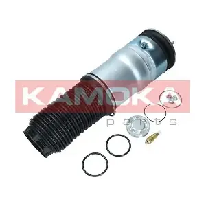 2079020 KAMOKA