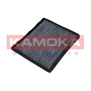 KAMOKA F503001