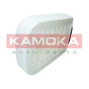 F260601 KAMOKA