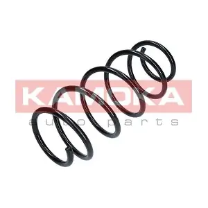 2110141 KAMOKA