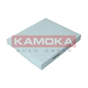 F420101 KAMOKA