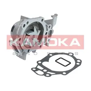 T0105 KAMOKA