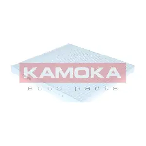 KAMOKA F424901