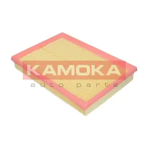 KAMOKA F202901