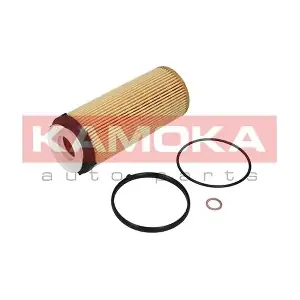 F110801 KAMOKA