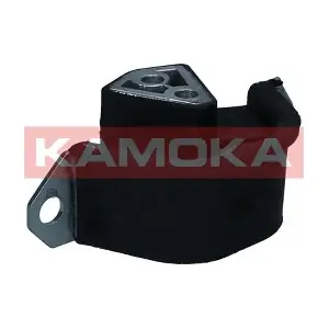 890999 KAMOKA